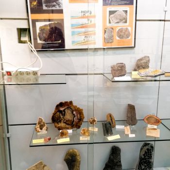 File Manager - Item Preview