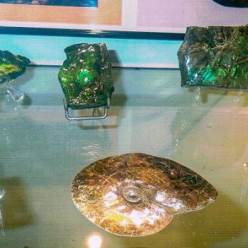 File Manager - Item Preview