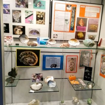 File Manager - Item Preview