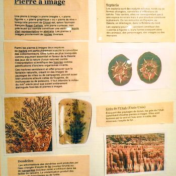 File Manager - Item Preview