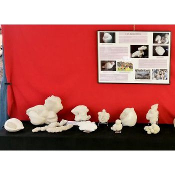 File Manager - Item Preview