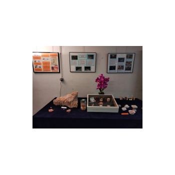 File Manager - Item Preview