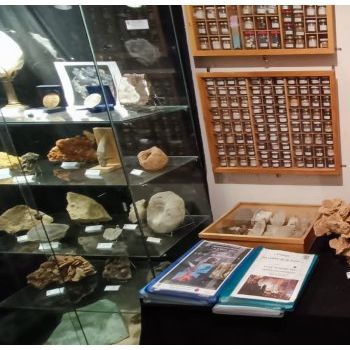 File Manager - Item Preview