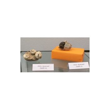 File Manager - Item Preview