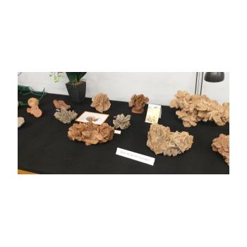 File Manager - Item Preview