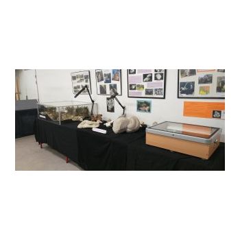 File Manager - Item Preview