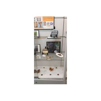 File Manager - Item Preview