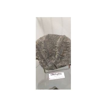 File Manager - Item Preview