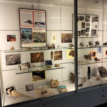 File Manager - Item Preview