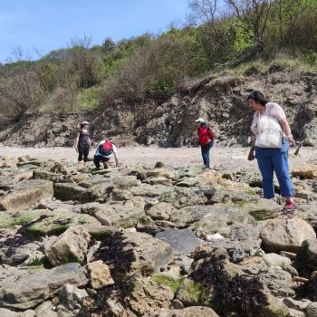 File Manager - Item Preview