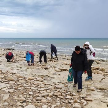 File Manager - Item Preview