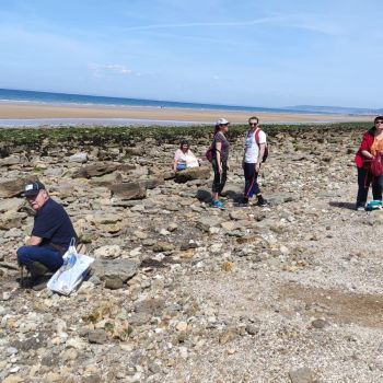 File Manager - Item Preview