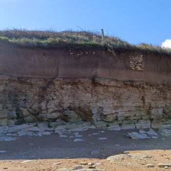 File Manager - Item Preview