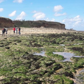 File Manager - Item Preview