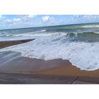 File Manager - Item Preview