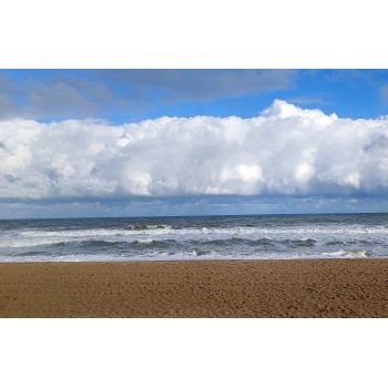 File Manager - Item Preview