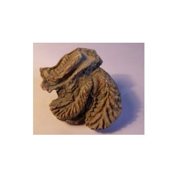 File Manager - Item Preview