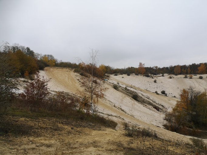 Ile de France - Grand Est