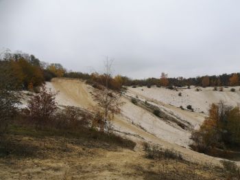 Ile de France - Grand Est
